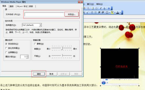 FrontPage网页中怎么插入视频? FrontPage视频插入技巧(图5)