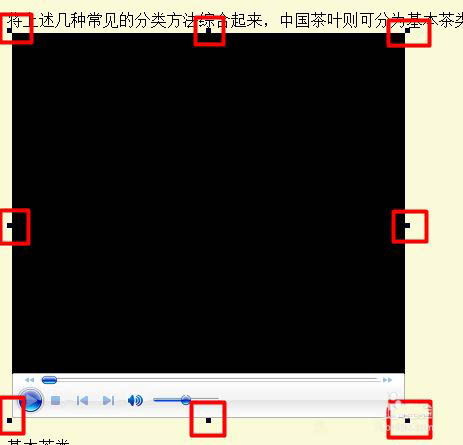 FrontPage网页中怎么插入视频? FrontPage视频插入技巧(图6)