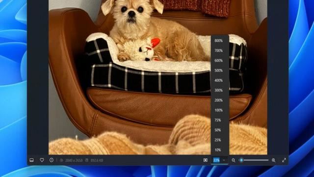 Win11新版照片应用更新:查看器加载速度快 2.1 倍(图2) Win11新版照片应用更新:查看器加载速度快 2.1 倍(图2)