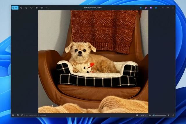 Win11新版照片应用更新:查看器加载速度快 2.1 倍(图1) Win11新版照片应用更新:查看器加载速度快 2.1 倍(图1)