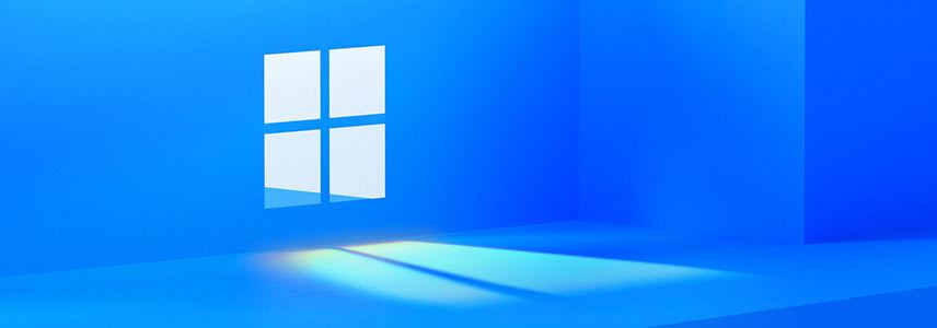windows11选择哪个版本? Win11家庭版与专业版深度对比(图1) windows11选择哪个版本? Win11家庭版与专业版深度对比(图1)