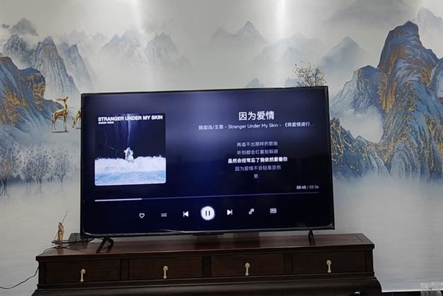 3299的华为Vision智慧屏65对比2999的智慧屏65 SE3谁更值得买?(图6) 3299的华为Vision智慧屏65对比2999的智慧屏65 SE3谁更值得买?(图6)