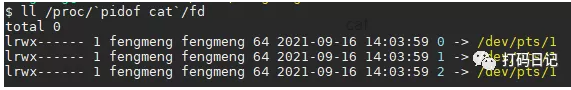 Linux命令基础使用(图2) Linux命令基础使用(图2)