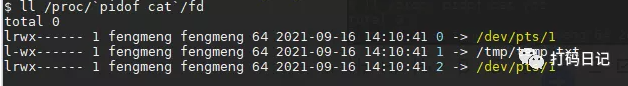 Linux命令基础使用(图3) Linux命令基础使用(图3)