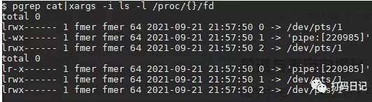 Linux命令基础使用(图5) Linux命令基础使用(图5)