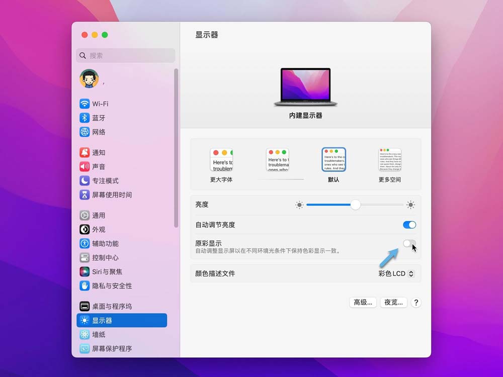 苹果mac怎么关闭原彩显示? Mac禁用原彩显示功能的技巧(图3)