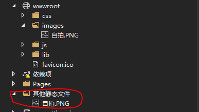 ASP.NET Core6.0-wwwroot文件夹无法访问解决方法(图4) ASP.NET Core6.0-wwwroot文件夹无法访问解决方法(图4)