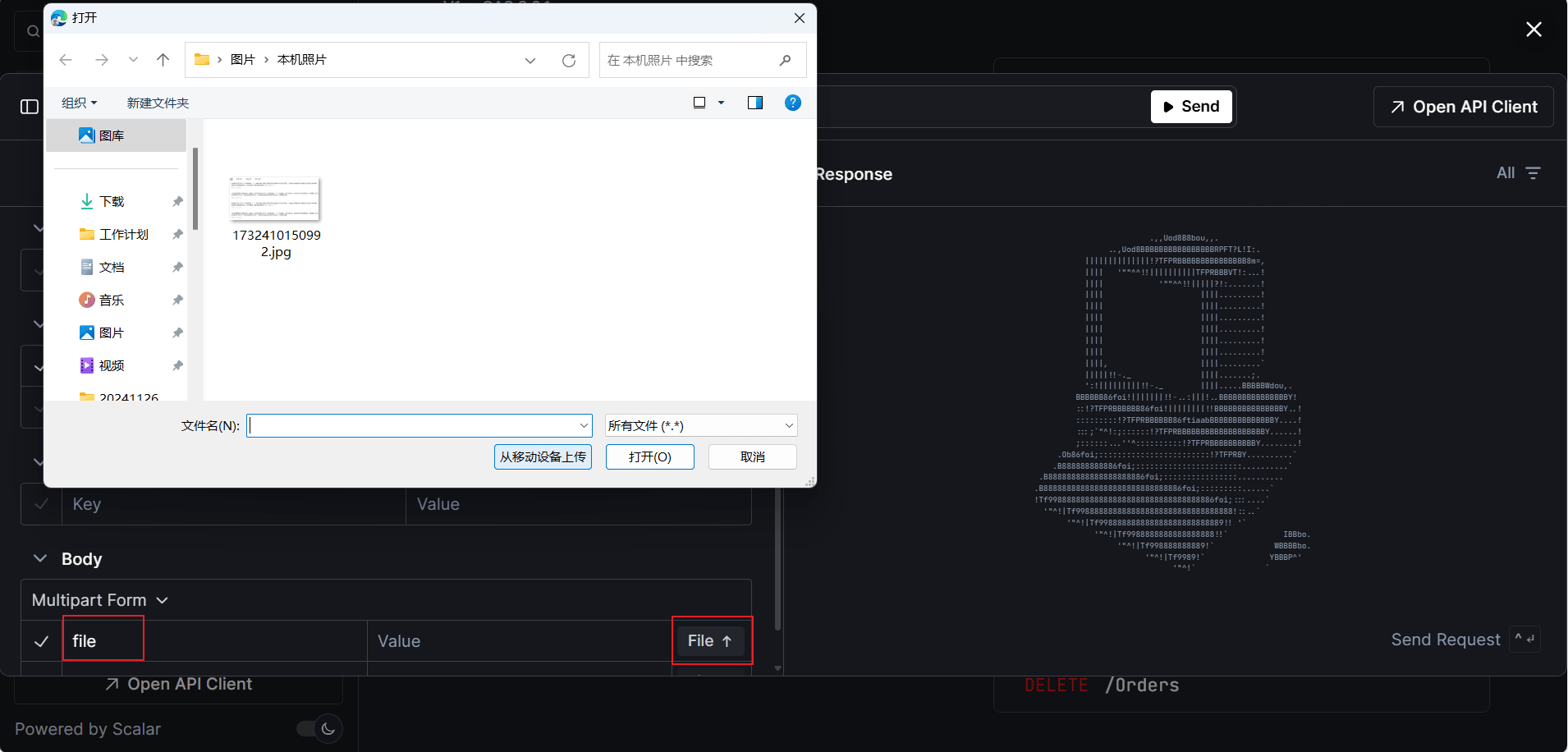 .NET9中Swagger平替Scalar使用详解(图14) .NET9中Swagger平替Scalar使用详解(图14)