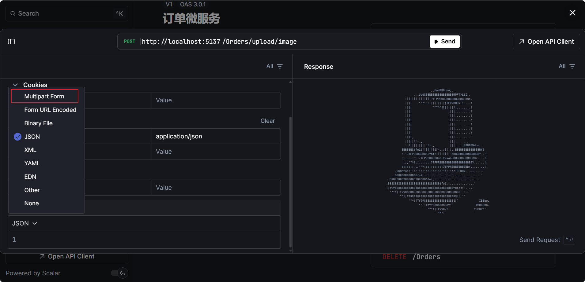 .NET9中Swagger平替Scalar使用详解(图13) .NET9中Swagger平替Scalar使用详解(图13)