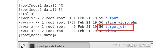 PHP调用FFmpeg实现视频切片(图3) PHP调用FFmpeg实现视频切片(图3)
