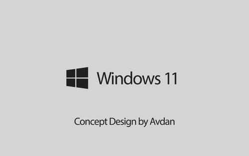Win11纯净版和专业版那个好?Win11纯净版和专业版区别介绍(图1) Win11纯净版和专业版那个好